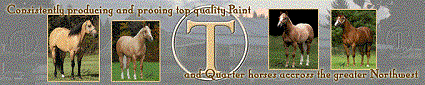 Circle T Training Stables