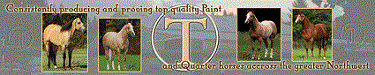 Circle T Training Stables