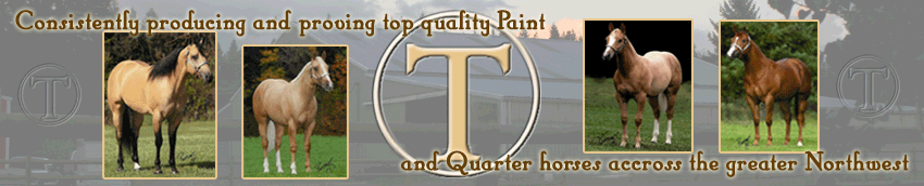 Circle T Training Stables