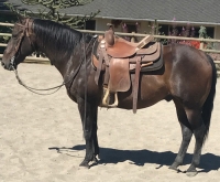 Cowboy